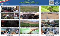  بولتن خبری هفته اول تیر ماه ۱۴۰۵ روابط عمومی سازمان جهاد کشاورزی کهگیلویه و بویراحمد
